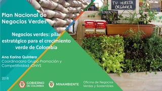 Plan Nacional de
Negocios Verdes
Negocios verdes: pilar
estratégico para el crecimiento
verde de Colombia
Ana Karina Quintero
Coordinadora Grupo Promoción y
Competitividad -ONVS
2018
 