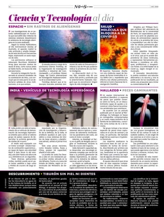 OCT. 202012
espacio • sin rastros de alienígenas
CienciayTecnologíaal día
ĬĬ Las investigaciones de un po-
tente radiotelescopio en Austra-
lia que escrudiñó diez millones de
sistemas estelares desestimaron
la existencia de tecnología aliení-
gena en la zona analizada.
Según la revista Publications
of the Astronomical Society of
Australia, el aparato realizó la
más profunda y amplia búsque-
da de esta técnica en frecuencias
bajas, explorando un vasto espa-
cio de cielo.
Los astrónomos utilizaron el
telescopio Murchison Widefield
Array para escrutar cientos de
veces el área, como nunca antes
se había hecho, en busca de vida
extraterrestre.
Durante la indagación fue ob-
servado el universo alrededor de
la constelación de Vela, y se con-
cluyó que en esta parte no se de-
tectaron señales de otras civili-
zaciones, si es que existen.
El estudio estuvo a cargo de la
astrónoma Chenoa Tremblay, de
la Organización de Investigación
Científica e Industrial del Com-
monwealth, y el profesor Steven
Tingay, del Centro Internacional
de Investigación Radioastronómi-
ca de la Universidad Curtin.
Tremblay declaró que el te-
lescopio buscaba potentes emi-
©INTERNET
©INTERNET
ĬĬ Expertos franceses diseña-
ron una molécula capaz de blo-
quear de forma irreversible el vi-
rus SARS-CoV-2, impidiendo que
infecte a las células pulmonares,
informó el Centro Nacional de In-
vestigación Científica.
salud •
molécula que
bloquea a la
covid-19
siones de radio en frecuencias si-
milares a las de FM que pudieran
indicar la presencia de una fuen-
te inteligente.
La observación duró 17 ho-
ras, dijo, mirando más de 100
veces más ancho y profundo que
lo anteriormente realizado. Ase-
guró que no encontraron ningún
signo de vida inteligente.
ĬĬ Un equipo internacional de
científicos identificó 11 especies
de peces que podrían mover-
se sobre la tierra, en un descu-
brimiento capaz de ayudar a re-
construir cómo fueron los prime-
ros vertebrados que caminaron.
De acuerdo con un artículo
publicado por el Journal of Mor-
phology, los hallazgos se basan
en tomografías computarizadas
y un nuevo mapa evolutivo de la
familia de los balitóridos, conoci-
dos como lochas de río o de to-
rrente.
Tal grupo incluye a las únicas
especies de peces vivos captu-
rados en el acto de caminar y se
trata, en particular, del llamado
ángel de las cavernas o Cryptoto-
ra thamicola.
Los expertos analizaron la
estructura ósea de casi 30 va-
riedades de lochas de torren-
te, describiendo por primera vez
tres categorías de formas pélvi-
cas, basándose en la apariencia
del hueso que conecta las espi-
nas de algunos de estos animales
con sus aletas pélvicas.
El equipo descubrió que otras
diez de esas especies compar-
tían la cintura pélvica inusual-
mente robusta de ese pez.
hallazgo • peces caminantes
ĬĬ India probó con éxito el lanza-
miento de un vehículo de demos-
tración de tecnología hipersóni-
ca (Hstdv) para unirse al selecto
grupo de países capaces de de-
sarrollar la próxima generación
de misiles de crucero.
El Hstdv está equipado con
un motor scramjet –estatorreac-
tor de combustión supersónica–,
es capaz de lograr una velocidad
Mach 6 (seis veces la del soni-
do) y de subir hasta una altura de
32,5 kilómetros en 20 segundos.
Tiene diversas aplicaciones
civiles, también puede servir pa-
ra lanzar satélites a bajo costo
y misiles de crucero de largo al-
cance.
Impulsado por la Organiza-
ción de Investigación y Desarro-
llo de la Defensa, de la India, el
artefacto ayudará al país sura-
siático a crear sistemas de misi-
les de largo alcance y platafor-
mas aéreas, señaló el portal First
Post.
Solo unas pocas naciones,
como Estados Unidos, Rusia y
China, poseen tal capacidad,
añadió el sitio web.
La prueba de vuelo fue lleva-
da a cabo en una instalación pa-
ra probar misiles ubicada en la
isla Wheeler, frente a la costa del
Estado de Odisha, según un co-
municado del Ministerio de De-
fensa.
Múltiples radares de rastreo,
sistemas electro-ópticos y esta-
ciones de telemetría monitorea-
ron los parámetros del vuelo, así
como el motor scramjet.
Además, se desplegó un bar-
co en el golfo de Bengala para vi-
gilar el rendimiento durante la
fase de crucero del trayecto.
India demostró capacidad pa-
ra desarrollar una tecnología al-
tamente compleja que servirá de
base a la próxima generación de
medios hipersónicos, en asocia-
ción con la industria de defensa
nacional, acotó la fuente.
La misión es calificada como
un salto gigantesco en las tecno-
logías autóctonas de ese sector.
yo (Galeus melastomus) que mi-
de 30 centímetros de largo y
82,7 gramos de peso.
Los especialistas descubrie-
ron la ausencia de epidermis, es-
trato laxo, y dentículos dérmicos,
estructuras que protegen ese ór-
gano de agentes patógenos y de
la abrasión durante el nado.
Dadas las funciones que de-
sempeñan estos elementos de
la piel, es probable que su ca-
rencia afectara la forma de
nadar del tiburón, posiblemente
aumentando su costo energético
y frenándolo, lo cual debió haber
debilitado su sistema inmunoló-
gico, puntualiza el estudio.
Los investigadores observaron
que los dientes del escualo pre-
sentaban anormalidades, puesto
que estaban reducidos a un tipo
de estructuras no visibles.
Tal malformación –aclararon
los especialistas– no limitó su ca-
pacidad para cazar o alimentar-
se, dado que esta especie deglu-
te a sus presas enteras.
Los científicos de la Universi-
dad de Cagliari, en Italia, siguen
sin despejar la incógnita, y pre-
sumen que el tiburón estuvo mu-
cho tiempo expuesto a sustan-
cias químicas contaminantes, o
quizá sufrió el incremento de la
acidificación del mar como resul-
tado del calentamiento global.
El equipo de expertos no
descartó tampoco una posible
malformación natural ocurrida
durante el desarrollo embriona-
rio del ejemplar.
Aunque se encuentran más
de 100 grupos homogéneos de
lochas de las colinas en todo el
sudeste asiático, el pez ángel de
las cavernas es el único cuya ca-
pacidad para andar fue observa-
da y estudiada.
Esa posibilidad es una adap-
tación clave para sobrevivir a los
rápidos arroyos de las cuevas, ya
que puede agarrarse a los lechos
rocosos y moverse, incluso, has-
ta en las cascadas.
El resultado de esta investi-
gación permite conocer mejor la
evolución de un evento extrema-
damente poco común: la capaci-
dad de un pez para caminar so-
bre la tierra.
Dirigidos por Philippe Karo-
yan, profesor del Laboratorio de
Biomoléculas de la Universidad
de París, los especialistas perfi-
laron una serie de péptidos (ca-
denas de aminoácidos) capaces
de unirse a la proteína del virus,
e imposibilitar con ello la infec-
ción de células pulmonares gra-
cias a una concentración inhibi-
dora (IC50).
Estos péptidos bloqueado-
res actúan como un cebo pa-
ra el virus, que ya no puede des-
prenderse de estas moléculas,
y representan herramientas po-
derosas a considerar en enfo-
ques profilácticos y terapéuti-
cos frente a la enfermedad de la
Covid-19, según recogió el co-
municado.
El innovador descubrimien-
to podría constituir una solución
alternativa a la vacuna y, tras la
publicación de los resultados, ya
existe una propuesta para iniciar
su comercialización.
india • vehículo de tecnología hipersónica
©INTERNET
©INTERNET
mortales, el espécimen gozaba
de buena salud.
De acuerdo con un artículo
aparecido en el Journal of Fish
Biology, el ejemplar fue atrapa-
do a 500 metros de profundidad
por una red de pesca comercial
y se trata de una hembra de ola-
©INTERNET
�  Un tiburón sin piel ni dien-
tes fue descubierto en aguas de
la isla italiana de Cerdeña, en el
mar Mediterráneo; aunque estas
anomalías son potencialmente
descubrimiento • tiburón sin piel ni dientes
 