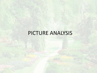 PICTURE ANALYSIS
 