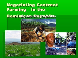 Negotiating ContractNegotiating Contract
Farming in theFarming in the
Dominican RepublicDominican RepublicBy Laura T. RaynoldsBy Laura T. Raynolds
 