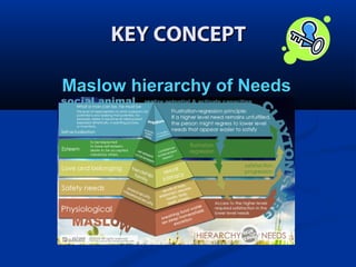 KEY CONCEPT
Maslow hierarchy of Needs

 