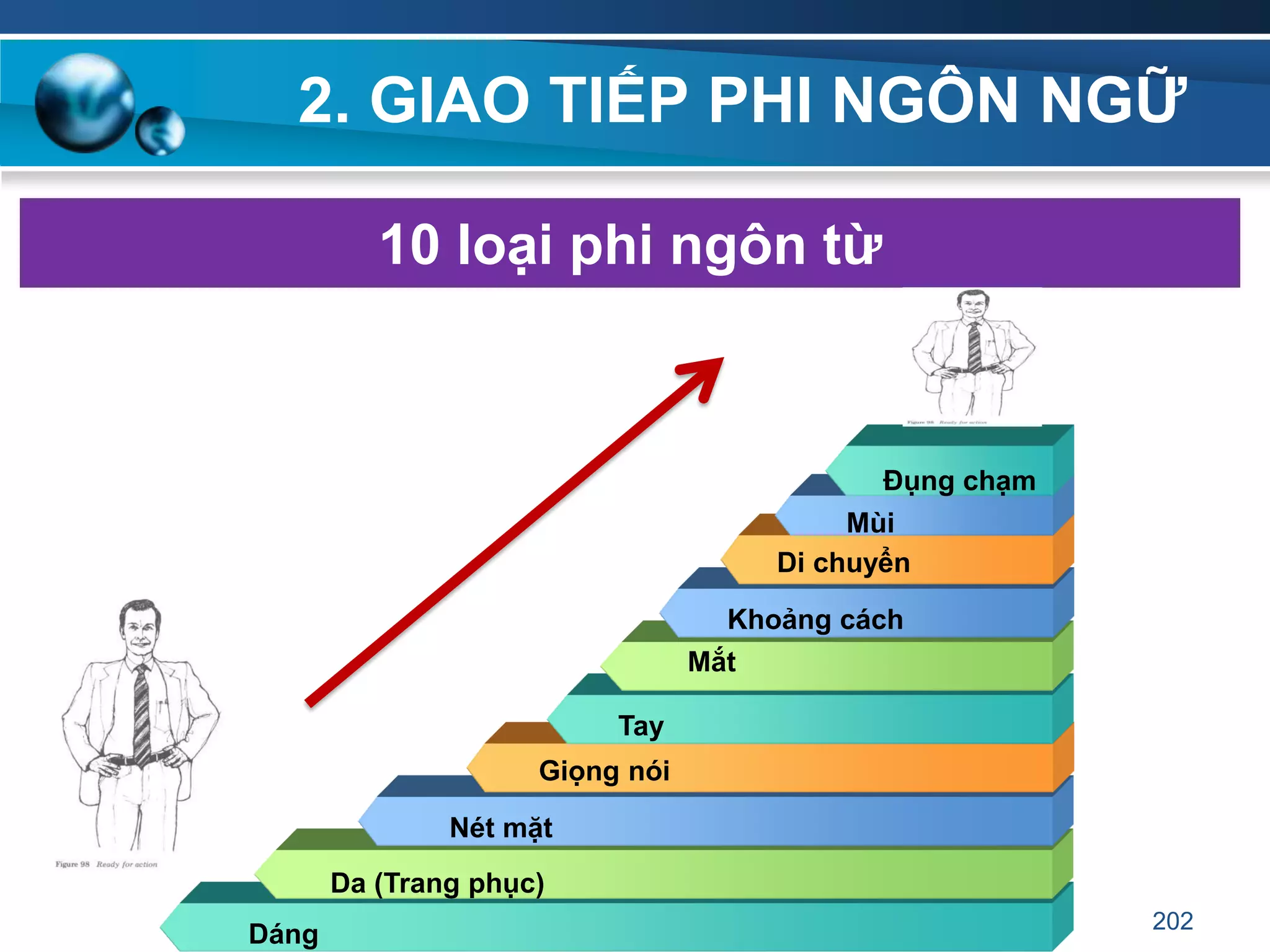 2. GIAO TIẾP PHI NGÔN NGỮ
10 loại phi ngôn từ
Dáng
Da (Trang phục)
Nét mặt
Tay
Giọng nói
Mắt
Khoảng cách
Di chuyển
Mùi
Đụng chạm
202
 