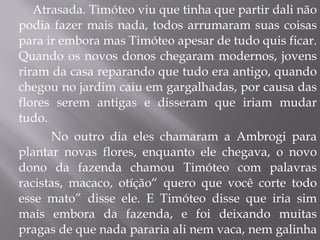 Atrasada. Timóteo viu que tinha que partir dali não podia fazer mais nada, todos arrumaram suas coisas para ir embora mas Timóteo apesar de tudo quis ficar. Quando os novos donos chegaram modernos, jovens riram da casa reparando que tudo era antigo, quando chegou no jardim caiu em gargalhadas, por causa das flores serem antigas e disseram que iriam mudar tudo. No outro dia eles chamaram a Ambrogi para plantar novas flores, enquanto ele chegava, o novo dono da fazenda chamou Timóteo com palavras racistas, macaco, otíção“ quero que você corte todo esse mato” disse ele. E Timóteo disse que iria sim mais embora da fazenda, e foi deixando muitas pragas de que nada pararia ali nem vaca, nem galinha etc. No outro dia o dono da fazenda viu Timóteo morto  