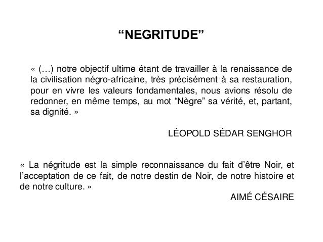 exemple dissertation sur la negritude