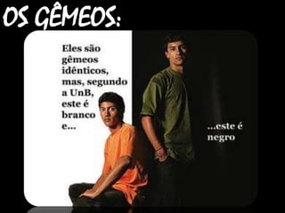 OS GÊMEOS:

 
