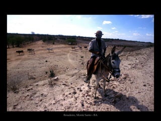 Boiadeiro, Monte Santo - BA
 