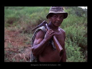 Seringueiro, São Gabriel da Cachoeira - AM
 