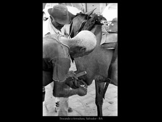 Trocando a ferradura, Salvador - BA
 