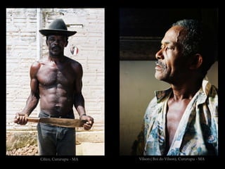 Cilíco, Cururupu - MA   Vilson ( Boi do Vilson), Cururupu - MA
 
