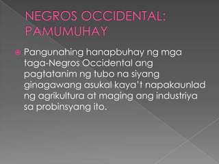  Pangunahing hanapbuhay ng mga
taga-Negros Occidental ang
pagtatanim ng tubo na siyang
ginagawang asukal kaya’t napakaunlad
ng agrikultura at maging ang industriya
sa probinsyang ito.