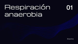 Respiración
anaerobia
01
Bioquimica
 