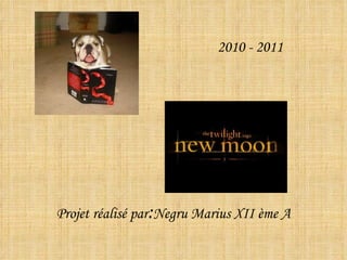 Projet r éalisé par : Negru Marius XII ème A 2010 - 2011 