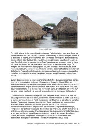Photo : André O.Todjé 
En 1885, afin de limiter ces effets dévastateurs, lʼadministration française de ce qui 
deviendra neuf ans plus tard la « colonie » du Dahomey a entrepris le percement, à 
la pelle et à la pioche, dʼune tranchée de 4 kilomètres de longueur dans le sable du 
cordon littoral, pour évacuer plus rapidement une partie des eaux lacustres vers la 
mer. Résultat : sous la pression de ce flux dʼeau douce, en quelques jours, la rigole 
dʼà peine 2 mètres sʼest transformée en un chenal de 400 mètres de large. On 
imagine les conséquences écologiques, car, une fois lʼeau douce évacuée, cʼest 
lʼocéan qui est venu envahir le lac. Ce qui a entraîné des modifications de la flore et 
de la faune, lʼeau salée stérilisant des zones périodiquement exondées, jusquʼalors 
cultivées, et favorisant la venue dʼespèces marines au détriment de celles dʼeau 
douce. 
Durant des décennies, le nouveau chenal sʼest obstrué à plusieurs reprises, parfois 
pour de longues durées, suite aux déplacements du cordon littoral. Mais les 
événements ont repris une tournure spectaculaire à la fin des années cinquante, lors 
de la construction du port en eau profonde de Cotonou. Ces travaux ont à nouveau 
bouleversé le littoral et le chenal sʼest rouvert en grand. Lʼédification, en 1978, dʼun 
barrage – resté inachevé – a favorisé temporairement le colmatage de lʼexutoire. 
Dʼautres travaux seront repris sept ans plus tard pour limiter, autant que faire se 
peut, la pénétration de lʼeau salée, qui domine néanmoins dans la partie Sud du lac, 
la salinité diminuant dans le Nord. Mais quand vient la crue, le lac retrouve sa nature 
dʼantan, lʼeau douce chassant lʼeau de mer. Alors, tandis que les espèces bien 
adaptées à lʼeau saumâtre subsistent quelque soit lʼépoque, dʼautres, 
essentiellement marines – en particulier les crevettes –, repartent vers le large, 
remplacées par celles dʼeau douce descendant les rivières. Et à la fin de la crue, le 
phénomène sʼinverse. Aujourdʼhui, les espèces les plus couramment pêchées dans 
le lac sont les tilapias (appelées communément carpes), les aloses, les silures 
blancs, les mulets, les gobies, toutes plus ou moins abondantes selon leur 
acceptation du degré de salinité de lʼeau saumâtre (entre 5 et 30 0/00). 
Les eaux changeantes du lac Nokoué, Présentation par André Linard 3/5 
 