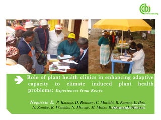 Role of plant health clinics in enhancing adaptive capacity to climate induced plant health problems:   Experiences from Kenya Negussie E,   P. Karanja, D. Romney, C. Muriithi, R. Kamau, E. Boa,  N. Zombe, R. Wanjiku, N. Murage, M. Mulaa, R. Day and J. Mutisya    CABI Africa  