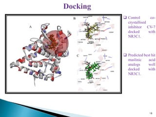 18
 Control co-
crystallised
inhibitor CV-7
docked with
NR3C1.
 Predicted best hit
maslinic acid
analogs well
docked with
NR3C1.
 