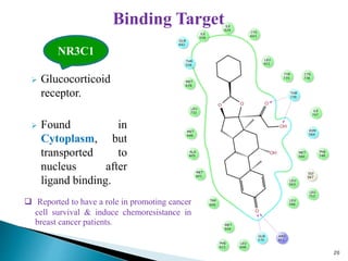  Glucocorticoid
receptor.
 Found in
Cytoplasm, but
transported to
nucleus after
ligand binding.
20
NR3C1
Binding Target
 Reported to have a role in promoting cancer
cell survival & induce chemoresistance in
breast cancer patients.
 