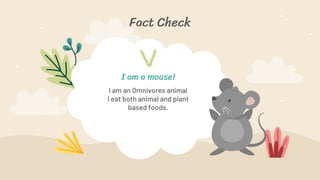 Fact Check
I am an Omnivores animal
I eat both animal and plant
based foods.
I am a mouse!
 
