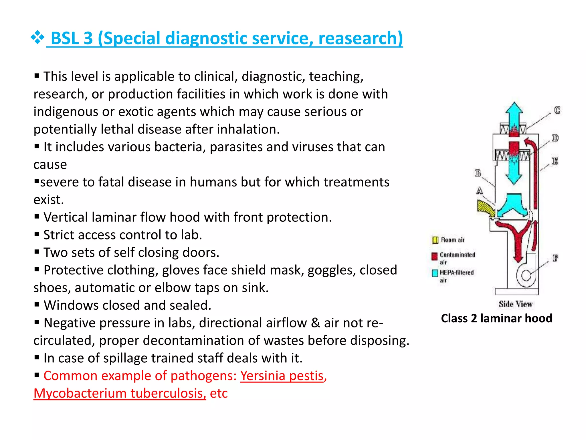 Bio safety level in laboratory | PPTX