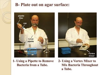 Nehal bacterial enumeration | PPTX