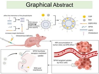 Graphical Abstract
 