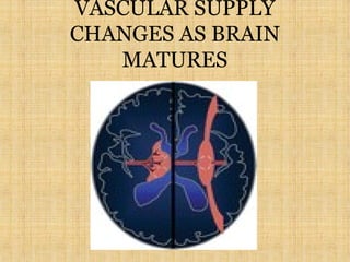 VASCULAR SUPPLY
CHANGES AS BRAIN
MATURES
 