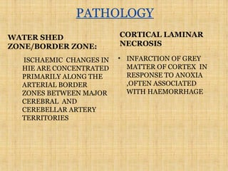 PATHOLOGY
WATER SHED
ZONE/BORDER ZONE:
ISCHAEMIC CHANGES IN
HIE ARE CONCENTRATED
PRIMARILY ALONG THE
ARTERIAL BORDER
ZONES BETWEEN MAJOR
CEREBRAL AND
CEREBELLAR ARTERY
TERRITORIES
CORTICAL LAMINAR
NECROSIS
• INFARCTION OF GREY
MATTER OF CORTEX IN
RESPONSE TO ANOXIA
,OFTEN ASSOCIATED
WITH HAEMORRHAGE
 