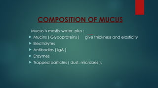 COMPOSITION OF MUCUS
Mucus is mostly water, plus :
 Mucins ( Glycoproteins ) give thickness and elasticity
 Electrolytes
 Antibodies ( IgA )
 Enzymes
 Trapped particles ( dust, microbes ).
 