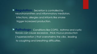  Regulation : Secretion is controlled by
neurotransmitters and inflammatory mediators.
- Infections, allergies and irritants like smoke
trigger increased production.
 Pathology : Conditions like COPD, Asthma and cystic
fibrosis can cause excessive , thick mucus production
( hypersecretion ) that overwhelms the cilia , leading
to coughing and breathing difficulties.
 