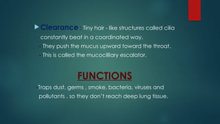  Clearance : Tiny hair - like structures called cilia
constantly beat in a coordinated way.
- They push the mucus upward toward the throat.
- This is called the mucocilliary escalator.
FUNCTIONS
-Traps dust, germs , smoke, bacteria, viruses and
pollutants , so they don’t reach deep lung tissue.
 