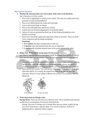 ǁǁǁ͘ƐĂŬƐŚŝĞƵĐĂƚŝŽŶ͘ĐŽŵ


Short answer Questions
   1. Mention the characteristics of a root system. Add a note on its functions.
       Ans: Characters of a Root system
       1. Root with its appendages is called as root system. The roots are usually positively
          geotropic (except pneumatophores).
       2. Root is not differentiated into nodes and internodes.
       3. Leaves and normal buds are absent.
       4. Root is non-chlorophyllous and brown colored.
       5. Lateral roots are formed endogenously in acropetal manner.
       6. Apices of roots are protected by Root cap. In free floating hydrophytes root
          pockets are present.
       7. Roots have unicellular epidermal outgrowths called as root hairs. These are short
          lived, exogenous and developed acropetally.
          Functions:
          1. Root anchors the plant at proper place in the soil.
          2. It absorbs water and minerals from the soil or substratum.
          3. It conducts the absorbed mineral water to the aerial system of the plant.

   2. Define root. Write briefly on the types of root system.
      Ans: Root is underground axis of the plant usually developed from radicle of embryo.
      There are two types of root systems. They are Tap root system and adventitious root
      system.
      1. Tap Root system: It is developed from radicle of embryo. It has a directly growing
          tap root from which the endogenously developed lateral roots are arranged in
          acropetal manner and grow obliquely into the soil. It is commonly seen in Dicots.
      2. Adventitious root system: This root system is developed from any part of the pant
          other than radicle. It is usually developed from base of the stem as fiber like
          structures. Hence it is also called as fibrous root system. It is commonly found in
          Monocots.




   3. Write short notes on Storage roots.
      Storage Roots: These are also known as tuberous roots. These modified roots become
      swollen due to accumulation of excessive food materials.
         Storage Tap roots: If storage root is formed from tap root system, usually the tap
         root stores food attains a specific shape. It is conical in Daucus, fusiform in
         Raphanussativus, napiform in Beta vulgaris.

                                  ǁǁǁ͘ƐĂŬƐŚŝĞƵĐĂƚŝŽŶ͘ĐŽŵ
 