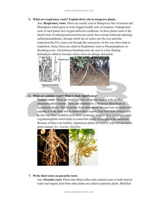 ǁǁǁ͘ƐĂŬƐŚŝĞƵĐĂƚŝŽŶ͘ĐŽŵ


5. What are respiratory roots? Explain their role in mangrove plants.
     Ans: Respiratory roots: These are usually seen in Mangroves like Avicennia and
     Rhizophora which grow in water logged muddy soils of estuaries. Underground
     roots of such plants face oxygen deficient conditions. In these plants some of the
     lateral roots of underground roots become aerial, have minute lenticular openings
     called pneumathodes, through which the air enters into the root and after
     respiration the CO2 comes out through the same pores. In this way these help in
     respiration. Hence these are called as Respiratory roots or Pneumatophores or
     Breathing roots. Adventitious breathing roots are seen in a free floating
     hydrophyte called as Jussiaea whose roots are spongy and porate.




6. What are nodular roots? What is their significance?
     Nodular roots: These are modified roots of tap root system with swollen
     structures called nodules. These are inhabited by a bacterium Rhizobium in
     leguminous plants. This bacterium fixes atmospheric nitrogen into ammonia and
     supplies it to the plant and in return it takes organic food from host cortical cells.
     In this way these modified roots show symbiosis. Nodules have a pigment called
     Leg.haemoglobin which helps in controlled supply of oxygen to the bacterium.
     Because of these root nodules, leguminous plants are used in crop rotation and as
     green manure. Ex: Arachis, Dolichos.




7. Write short notes on parasitic roots.
     Ans: Parasitic roots: Plants that obtain either only mineral water or both mineral
     water and organic food from other plants are called as parasitic plants. Modified

                               ǁǁǁ͘ƐĂŬƐŚŝĞƵĐĂƚŝŽŶ͘ĐŽŵ
 