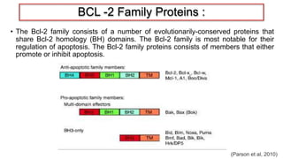 Role of apoptosis in physiology and diseases i | PPTX