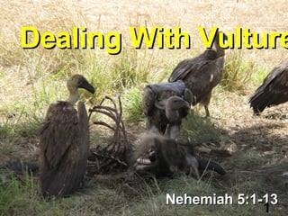 Dealing With Vultures Nehemiah 5:1-13 