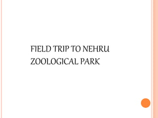 FIELD TRIP TO NEHRU 
ZOOLOGICAL PARK 
 