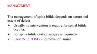 MANAGEMENT
The management of spina bifida depends on nature and
extent of defect
 Usually no intervention is require for spinal bifida
occulta.
 For spina bifida cystica surgery is required-
 LAMINECTOMY:- Removal of lamina.
 
