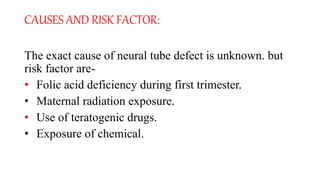 CAUSES AND RISK FACTOR:
The exact cause of neural tube defect is unknown. but
risk factor are-
• Folic acid deficiency during first trimester.
• Maternal radiation exposure.
• Use of teratogenic drugs.
• Exposure of chemical.
 