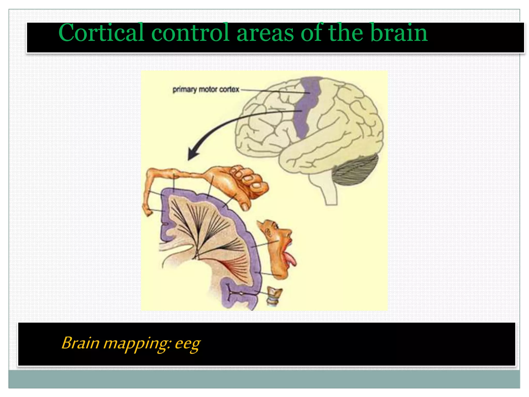Brainmapping:eeg
Cortical control areas of the brain
 