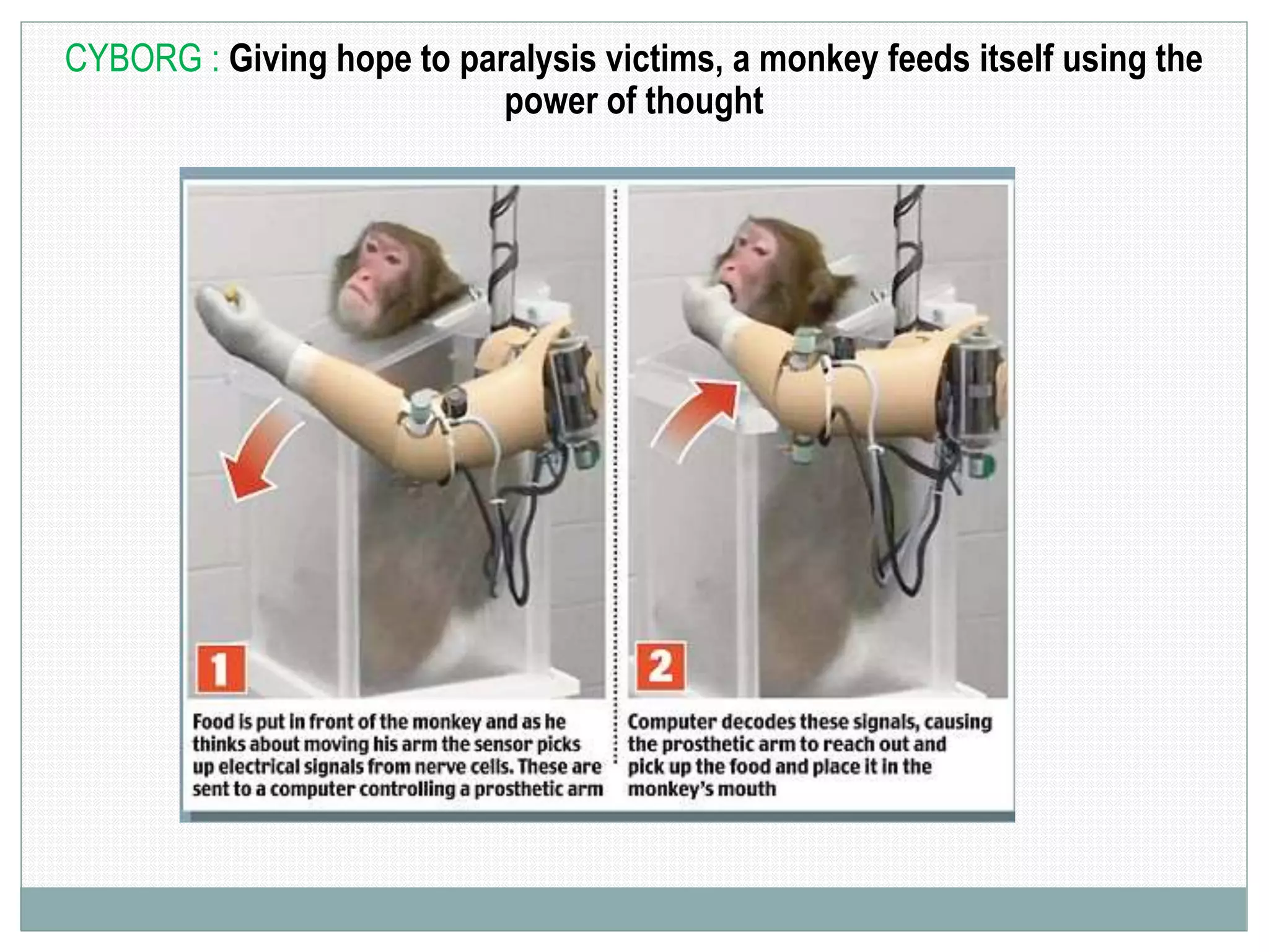 CYBORG : Giving hope to paralysis victims, a monkey feeds itself using the
power of thought
 