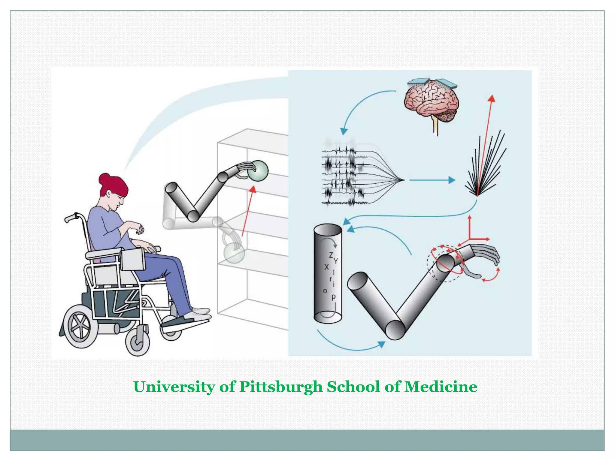 University of Pittsburgh School of Medicine
 