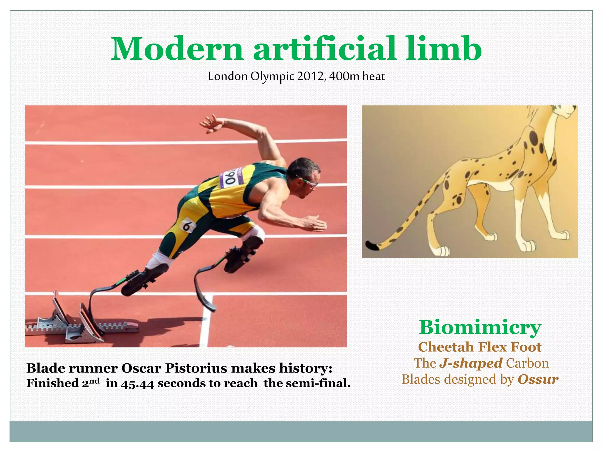 Modern artificial limb
LondonOlympic2012,400mheat
Blade runner Oscar Pistorius makes history:
Finished 2nd in 45.44 seconds to reach the semi-final.
Biomimicry
Cheetah Flex Foot
The J-shaped Carbon
Blades designed by Ossur
 