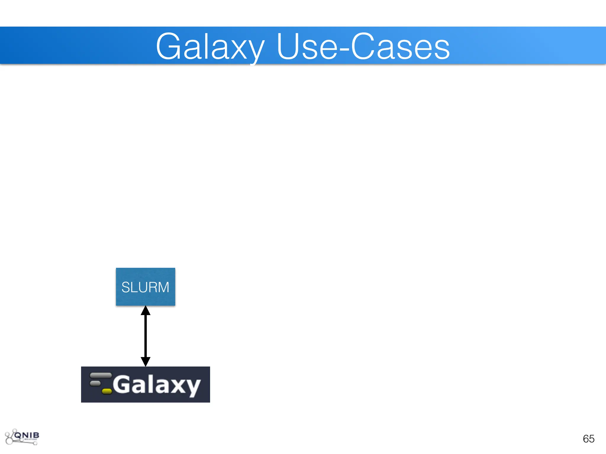 65
Galaxy Use-Cases
SLURM
 