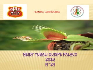 NEIDY YUBALI QUISPE PALACO
2016
N°24
PLANTAS CARNÍVORAS
 