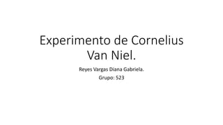 Experimento de Cornelius
Van Niel.
Reyes Vargas Diana Gabriela.
Grupo: 523
 