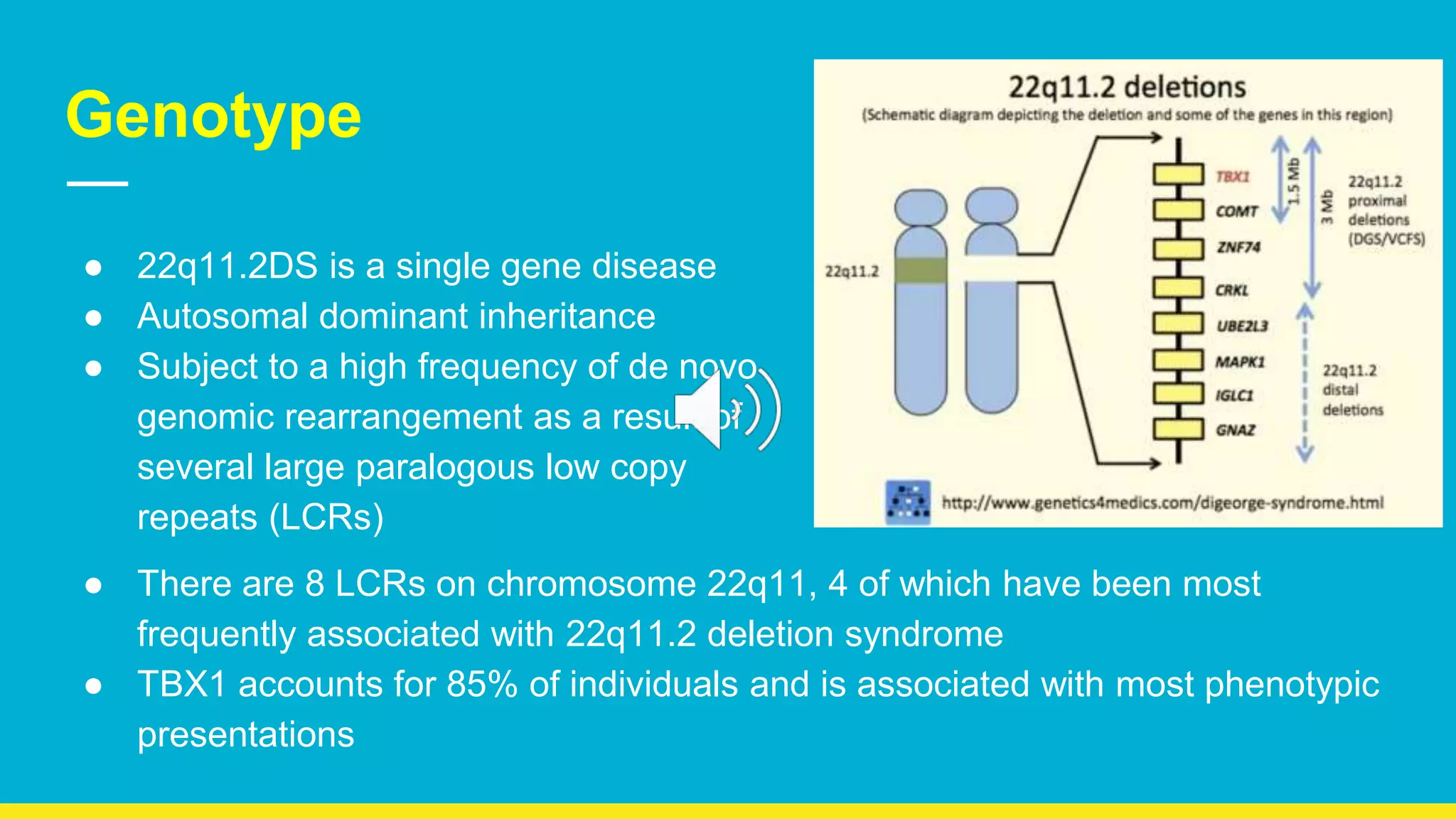 Lower 2ds Neilan genetics presentation with audio | PPTX