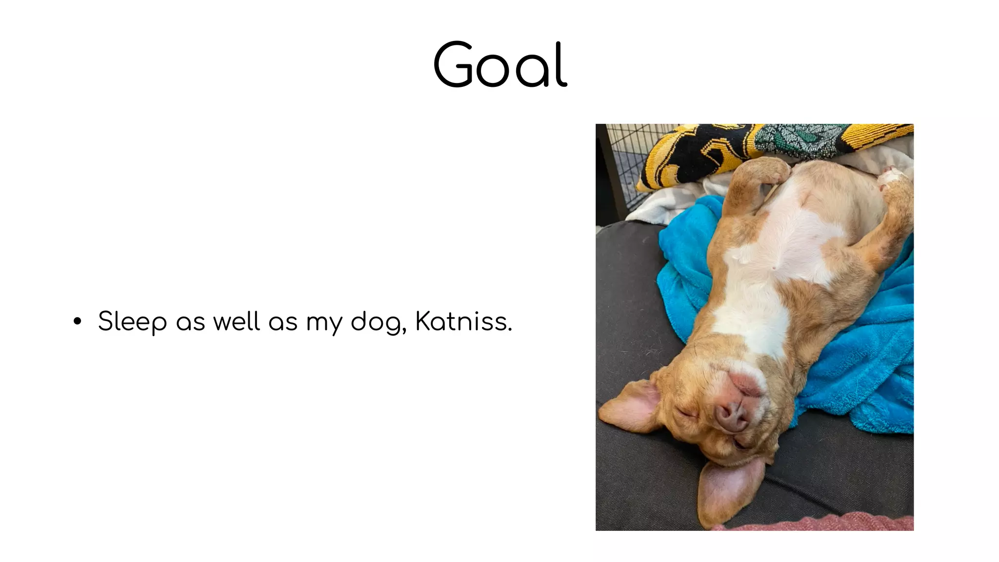 Goal
• Sleep as well as my dog, Katniss.
 