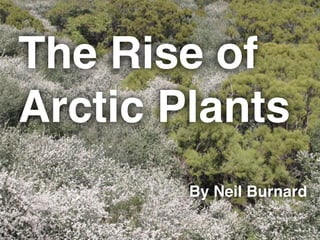 The Rise of
Arctic Plants
By Neil Burnard
 