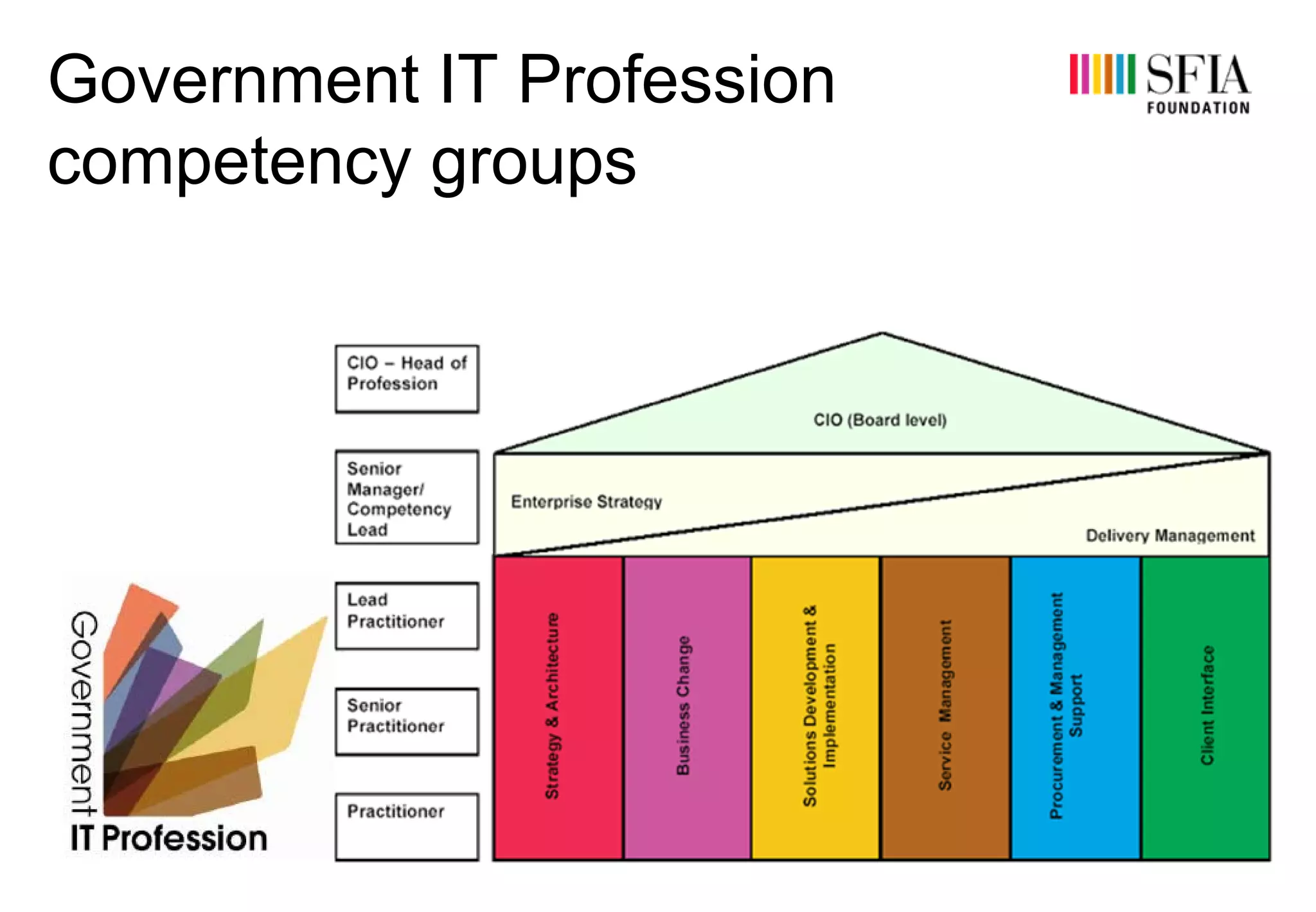 Government IT Profession
competency groups
 