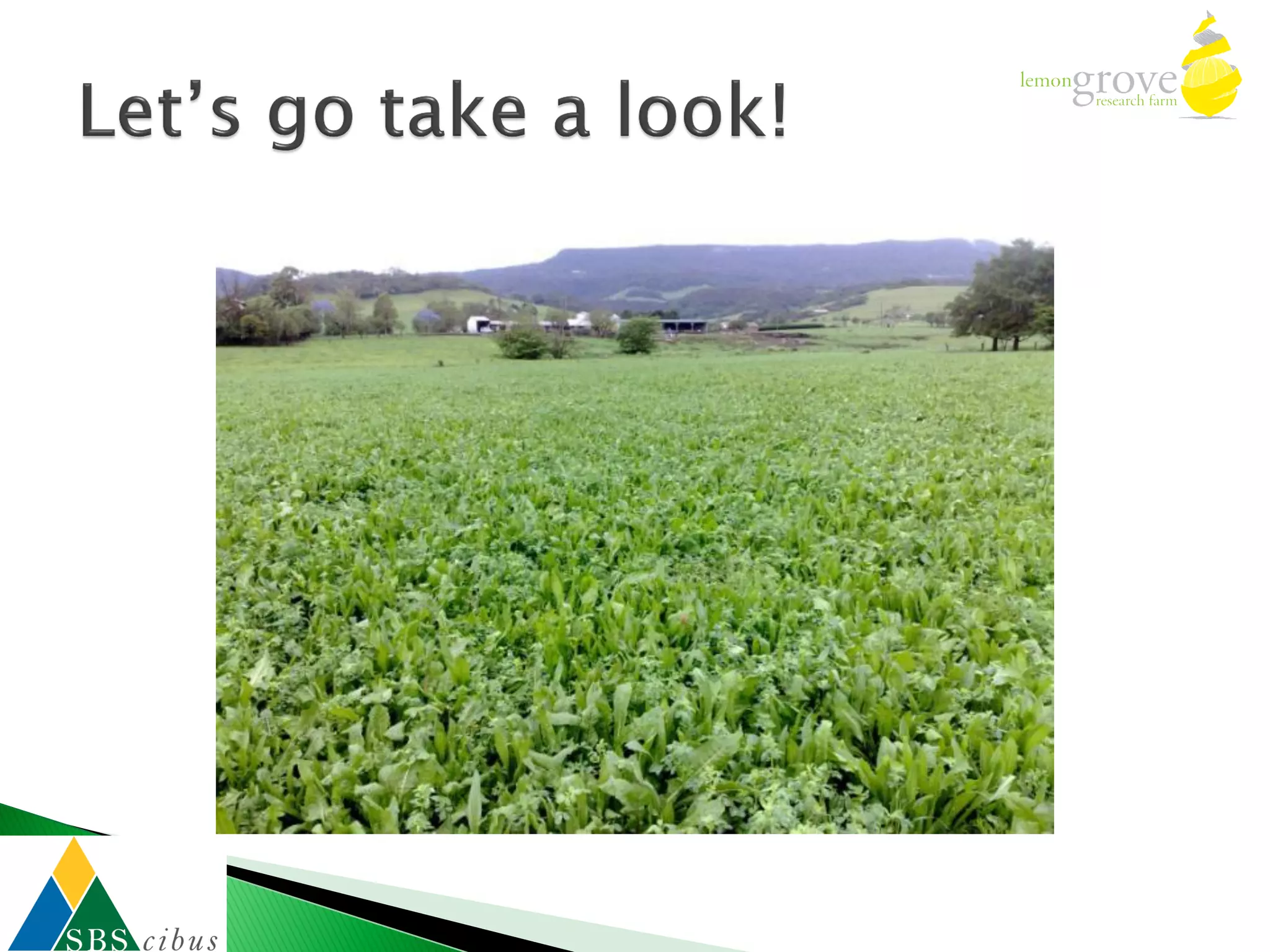 Pasture solutions that are good for cows, business and the environment 