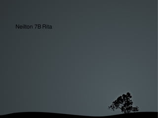   
Neilton 7B Rita
 
