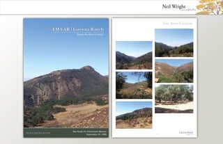 Neil Wright Art &amp; Design Portfolio